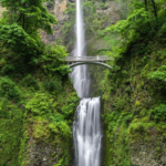 Scenic view of a lush waterfall surrounded by greenery