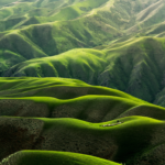 Lush green hills under sunlight.