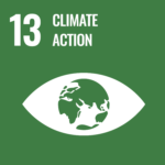 SDG Goal 13 icon: Climate Action