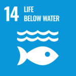 SDG Goal 14 icon: Life Below Water