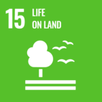 SDG Goal 15 icon: Life on Land